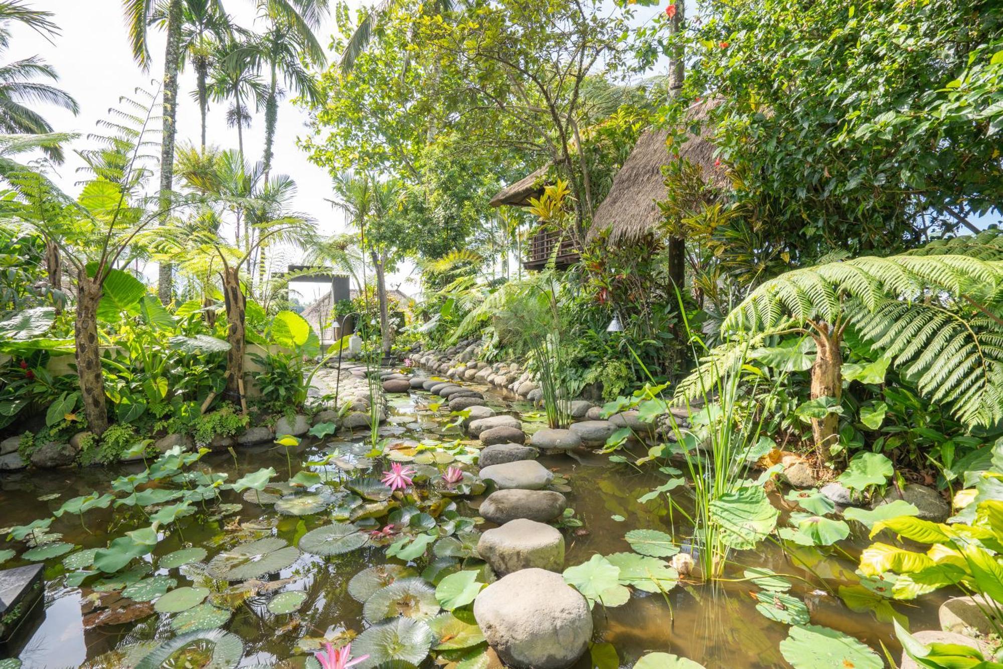 Awan Putih Resort Payangan Buitenkant foto